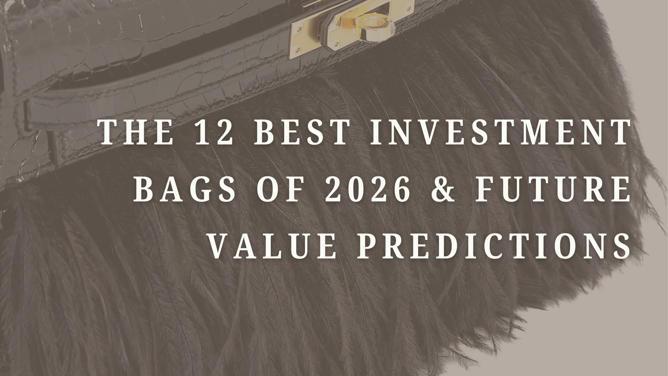 The 12 Best Investment Bags of 2026 & Future Value Predictions